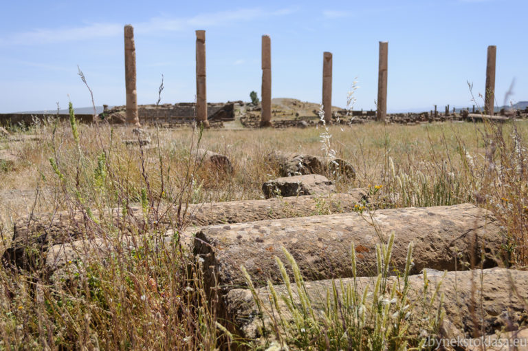 Sloupy ležící i stojící. Timgad, ruiny římského tábora nedaleko města Batna